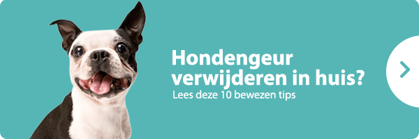 Hondengeur verwijderen in huis?